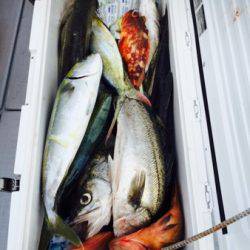 シーモンキー 釣果