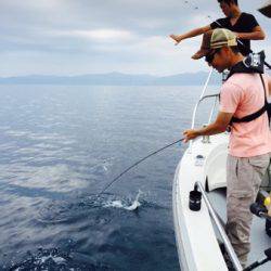 シーモンキー 釣果