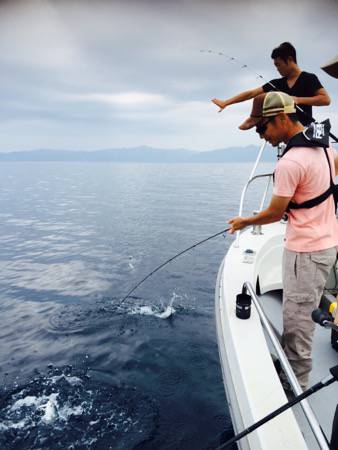 シーモンキー 釣果