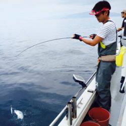 シーモンキー 釣果