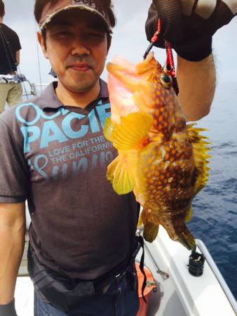 シーモンキー 釣果