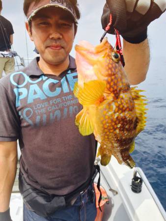 シーモンキー 釣果