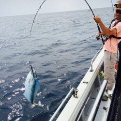 シーモンキー 釣果