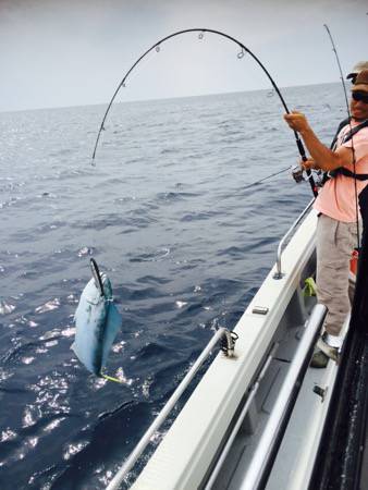 シーモンキー 釣果