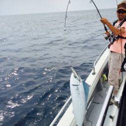 シーモンキー 釣果