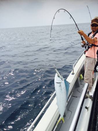 シーモンキー 釣果