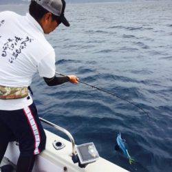 シーモンキー 釣果