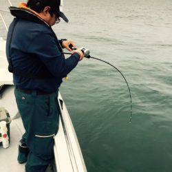 シーモンキー 釣果