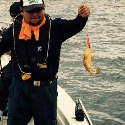 シーモンキー 釣果