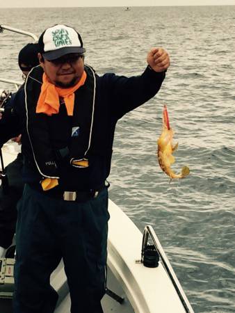 シーモンキー 釣果