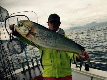 シーモンキー 釣果