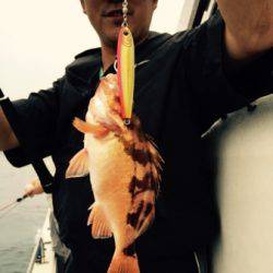 シーモンキー 釣果