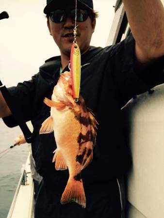 シーモンキー 釣果