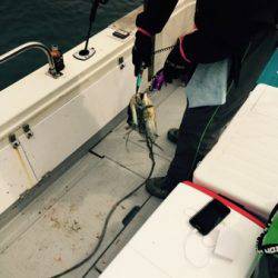 シーモンキー 釣果