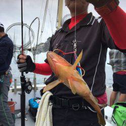 シーモンキー 釣果