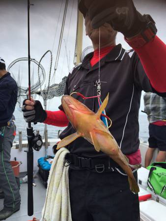 シーモンキー 釣果