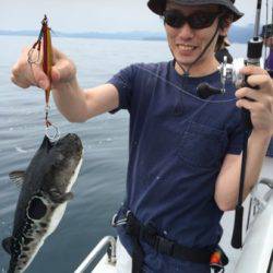 シーモンキー 釣果