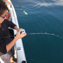 シーモンキー 釣果