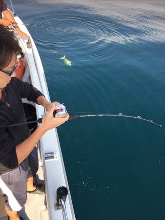 シーモンキー 釣果