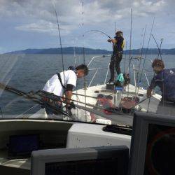 シーモンキー 釣果