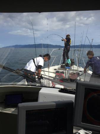 シーモンキー 釣果