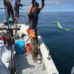 シーモンキー 釣果