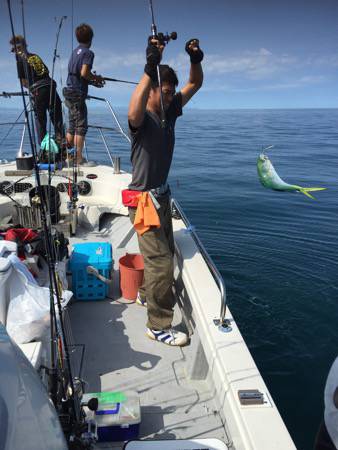 シーモンキー 釣果