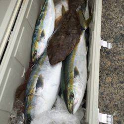 シーモンキー 釣果