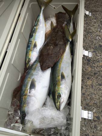 シーモンキー 釣果