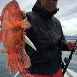 シーモンキー 釣果