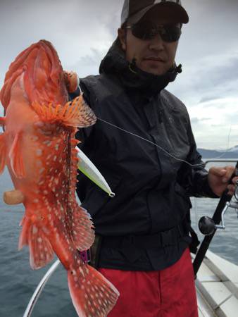 シーモンキー 釣果