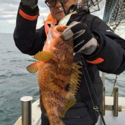 シーモンキー 釣果