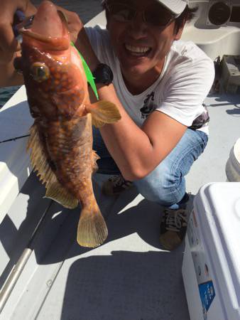 シーモンキー 釣果