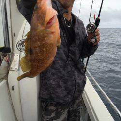 シーモンキー 釣果