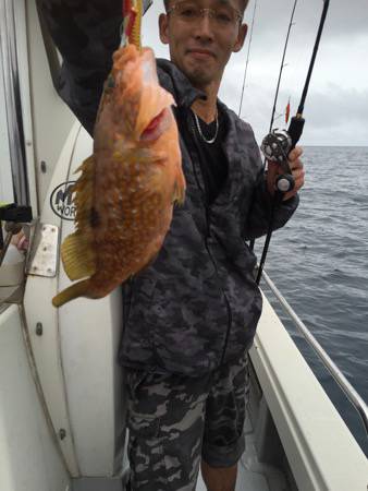 シーモンキー 釣果