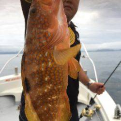 シーモンキー 釣果