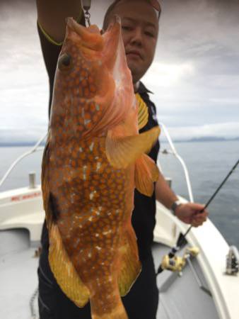 シーモンキー 釣果