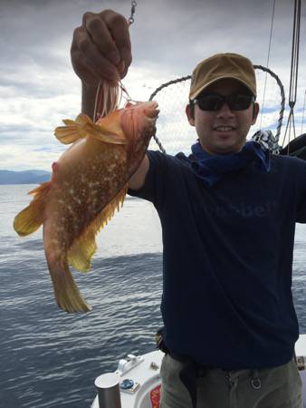 シーモンキー 釣果