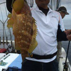 シーモンキー 釣果