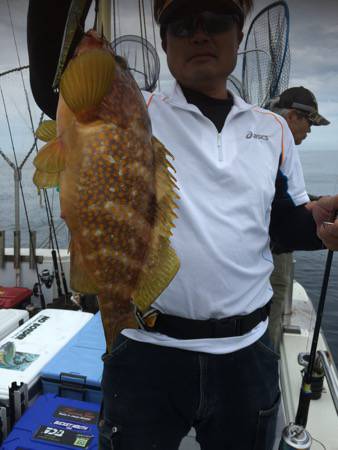 シーモンキー 釣果