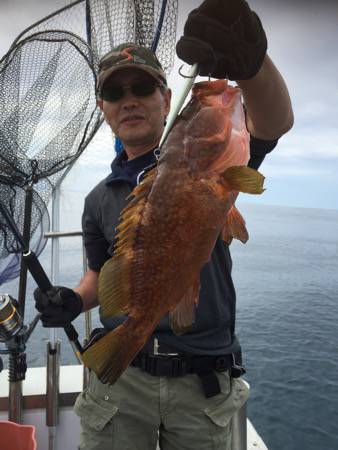 シーモンキー 釣果