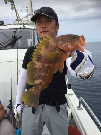 シーモンキー 釣果
