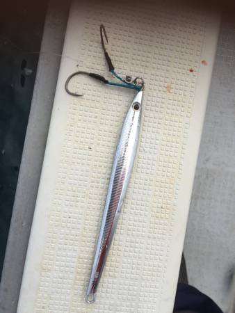 シーモンキー 釣果