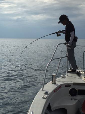 シーモンキー 釣果