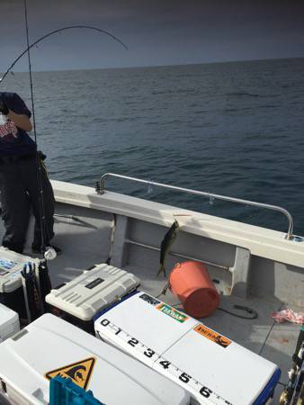 シーモンキー 釣果