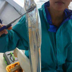 恵比寿丸（兵庫） 釣果