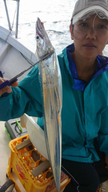 恵比寿丸（兵庫） 釣果