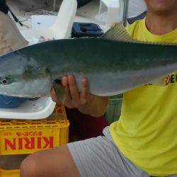 恵比寿丸（兵庫） 釣果