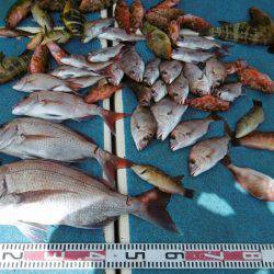 十八宝洋丸 釣果