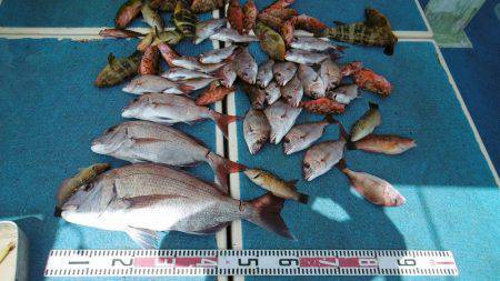 十八宝洋丸 釣果